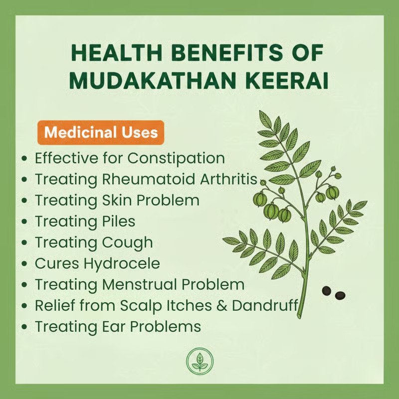 Mudakathaan Soup Mix (Balloon Vine) - Image 2